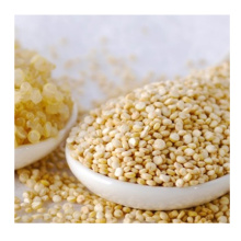 High Quality Quinoa for Sale Organic White Quinoa Grains